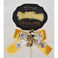 Diploma on plaque /Lolly